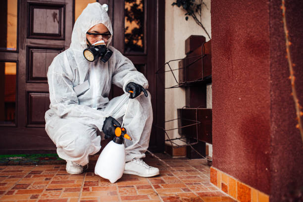 Reliable Wasp Removal contractor in Hotchkiss, CO by Show Me Pest Control